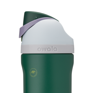 Great American Road Trip Great Smoky Mountains